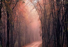 杜塞尔多夫vs汉堡的比分会是多少？深度剖析两队对决的可能性